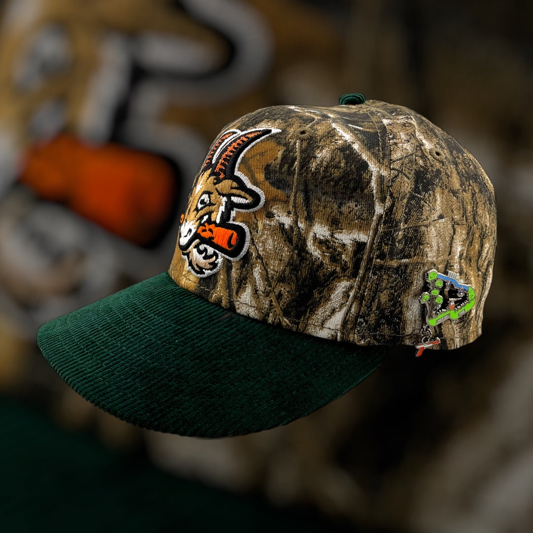 Duck Hunt